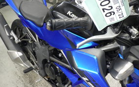 KAWASAKI Z250 SL 2023 BR250E