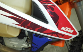 KTM 250 EXC F SIXDAYS 2021