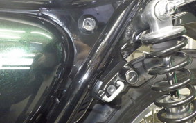 KAWASAKI W800 2019 EJ800B