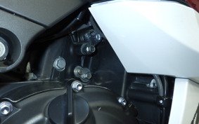 KAWASAKI ZX 1400 NINJA R A 2020