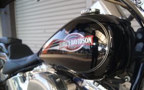HARLEY FLSTC 2005 BJY