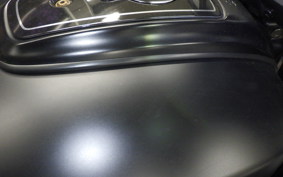 INDIAN CHALLENGE ャー DARK 2021