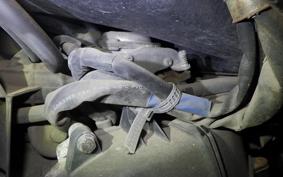 HONDA TODAY 2024 AF61