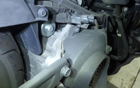 HONDA ZOOMER-X 2024 JF52
