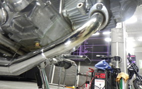 HONDA GORILLA 2008 Z50J