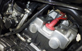 HONDA HORNET 250 2009 MC31