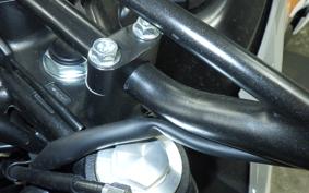 HONDA CRF250L 2006 MD47