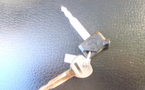 YAMAHA VOX DELUXE  SA31J