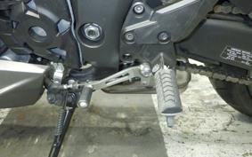 KAWASAKI NINJA 1000 SX 2024 ZXT02K