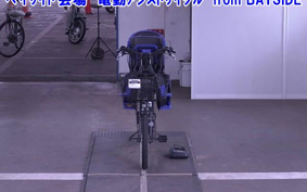 OTHER  YAMAHA DENDOU ASSIST JI TON  CAR 