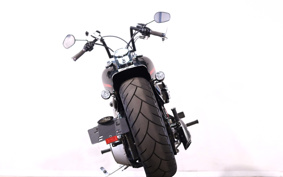 HARLEY FXST 2010 BV5