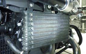 BMW R NINE T SCRAMBLER 2024