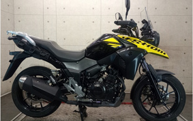SUZUKI STROM 250 DS11A