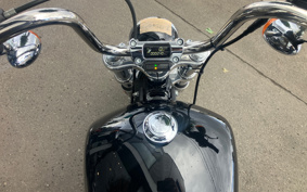 HARLEY FXST1340-1450 2023 BVJ