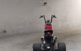 OTHER  TRIKE 150CC ..