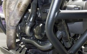 TRIUMPH TIGER 800 XR X 2019