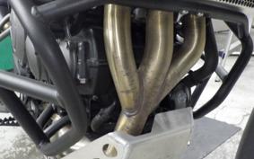 TRIUMPH TIGER 800 2019