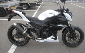 KAWASAKI Z250 ER250C