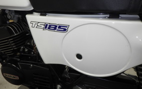 SUZUKI TS185
