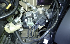OTHER +DAYTONA125 2006