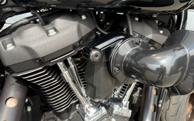 HARLEY FXLRST 2024 YXZ