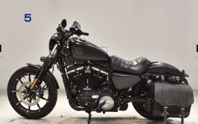 HARLEY XL883N 2019