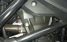 BMW G310R 2021