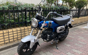 HONDA  DUX 125 JB04