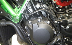 KAWASAKI ZH2 2020 ZRT00K