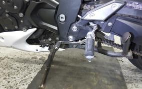 YAMAHA FZ1 FAZER 2010 RN21J