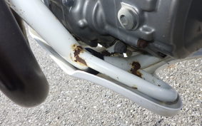 SUZUKI DR250 R-S SJ45A