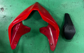 DUCATI PANIGA-REV4S 2019 DA00J