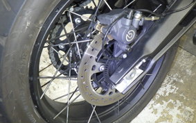 TRIUMPH TIGER900 RALLYARACO 2024