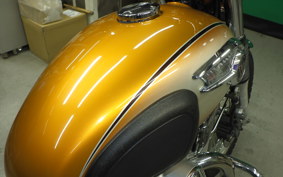 KAWASAKI W800 2011 EJ800A