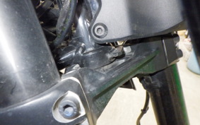 KTM 390 ADVENTURE 2021