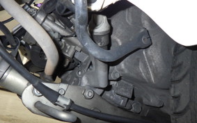 HONDA GYRO CANOPY 2024 TA03