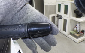 SUZUKI GSX250RA 2013