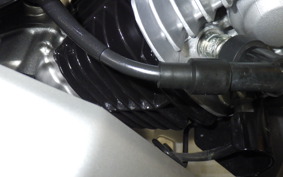 HONDA CT125-2 2024 JA65