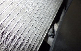 HONDA CBR1100XX 2000