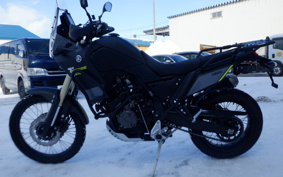 YAMAHA TENERE 700 2020 DM09J