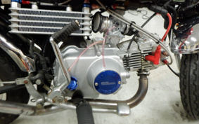 HONDA MONKEY Z50J