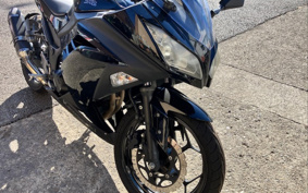 KAWASAKI NINJA 250 EX250L