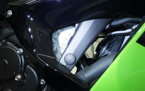 KAWASAKI NINJA ZX-6R A 2025 ZX636J