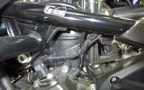 BMW G310R 2023