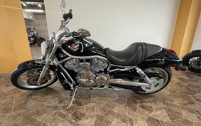 HARLEY  HARLEY VRSCAW 2008 HKH