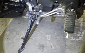 KAWASAKI NINJA 1000SX 2024