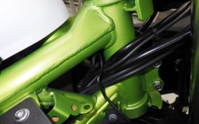 KAWASAKI NINJA 250 SL