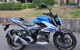 YAMAHA YZF-R6 2006 RJ12