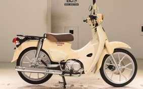 HONDA C110 SUPER CUB
