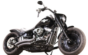 HARLEY FLFBS 2018 YGK